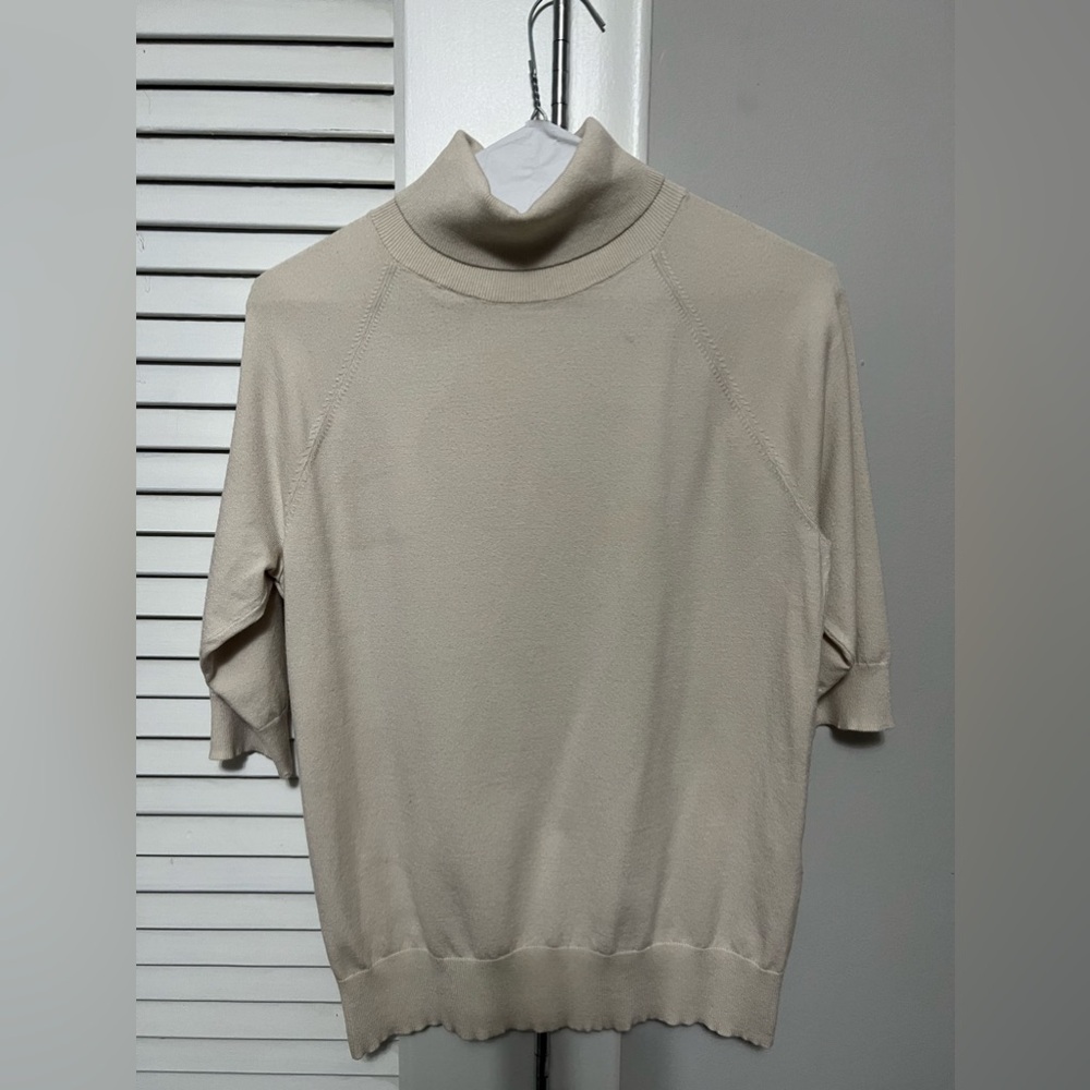 Aritzia Bone short sleeve turtlneck